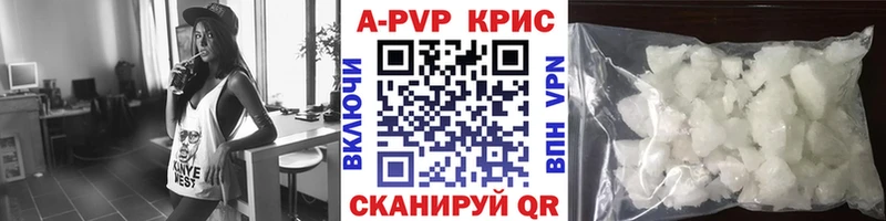 A PVP СК КРИС Онега