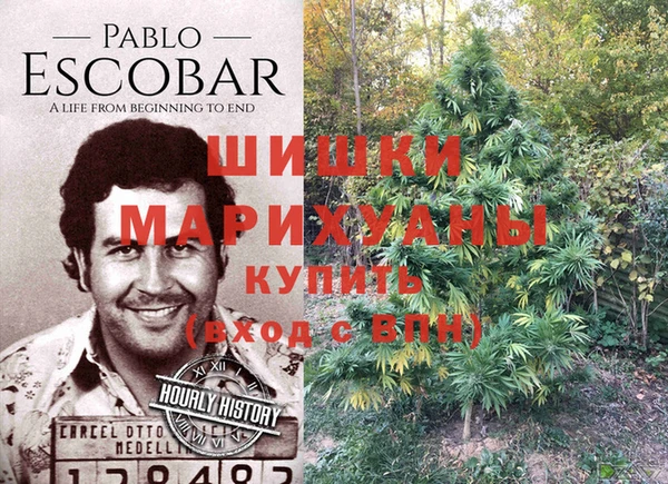 Альфа ПВП Гусев