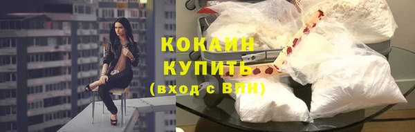 Альфа ПВП Гусев