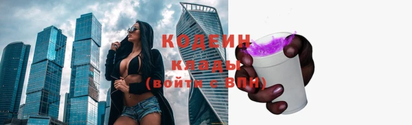 Альфа ПВП Гусев