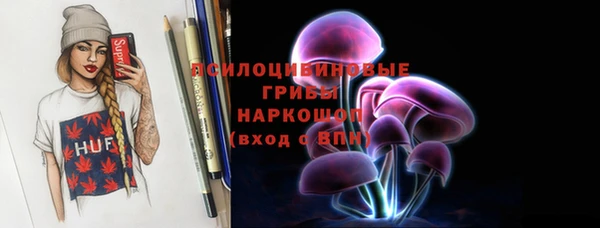 Альфа ПВП Гусев
