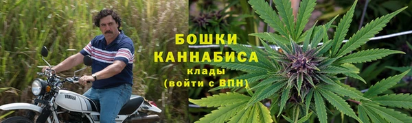 Альфа ПВП Гусев
