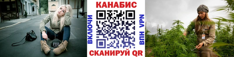 Конопля Amnesia  Онега 
